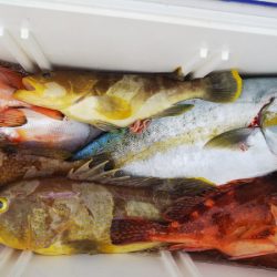 第二龍勢丸 釣果