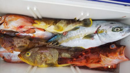 第二龍勢丸 釣果