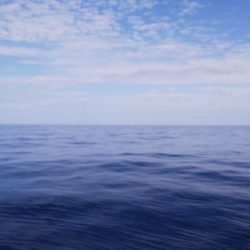 第二龍勢丸 釣果