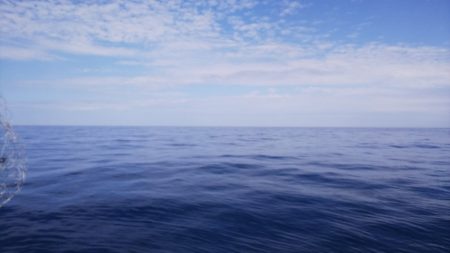 第二龍勢丸 釣果