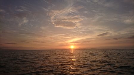 遊漁船 家入 釣果