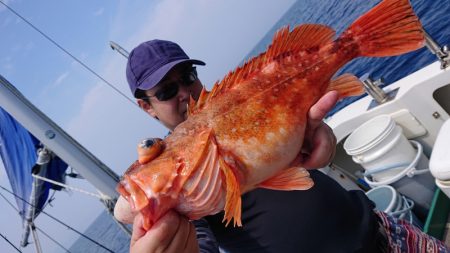 ARCADIAⅡ (アルカディアⅡ) 釣果