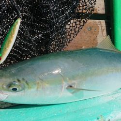 和栄丸 釣果