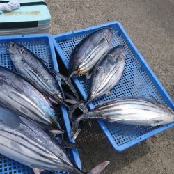 第三共栄丸 釣果