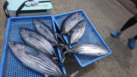 第三共栄丸 釣果