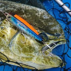 第三共栄丸 釣果