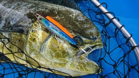 第三共栄丸 釣果