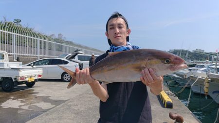だて丸 釣果