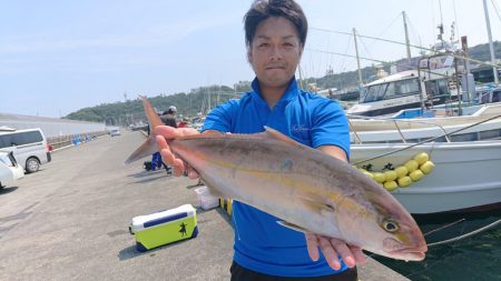 だて丸 釣果