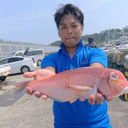 だて丸 釣果