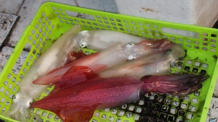 第二龍勢丸 釣果