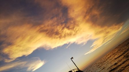 第二龍勢丸 釣果