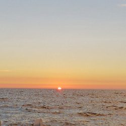 第二龍勢丸 釣果