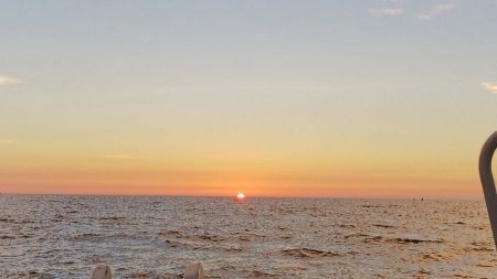 第二龍勢丸 釣果