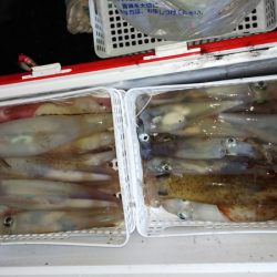 第二龍勢丸 釣果