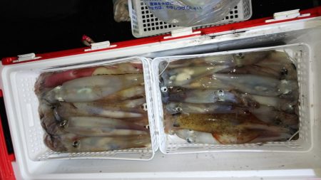 第二龍勢丸 釣果