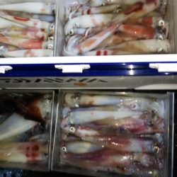 第二龍勢丸 釣果