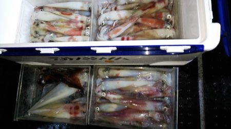 第二龍勢丸 釣果