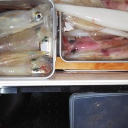 第二龍勢丸 釣果