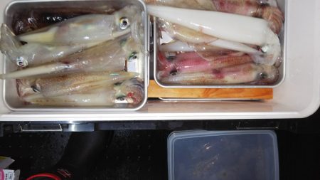 第二龍勢丸 釣果