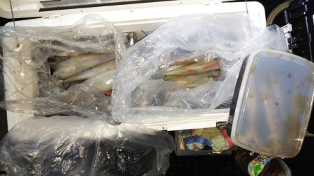 第二龍勢丸 釣果