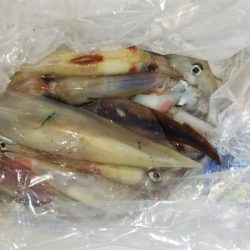 第二龍勢丸 釣果