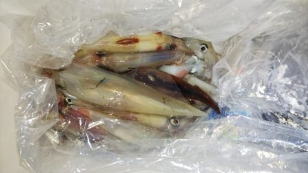 第二龍勢丸 釣果