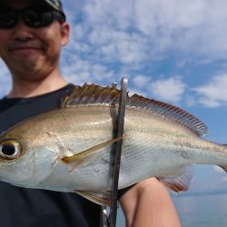 シースナイパー海龍 釣果