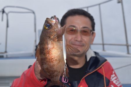 渡船屋たにぐち 釣果