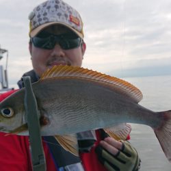 シースナイパー海龍 釣果