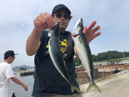 ぽん助丸 釣果