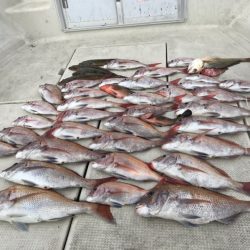 遊漁船メテオ 釣果