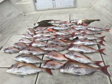 遊漁船メテオ 釣果