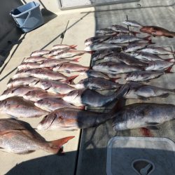 遊漁船メテオ 釣果