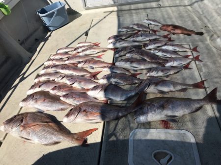 遊漁船メテオ 釣果