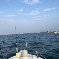 末広丸(熊本) 釣果