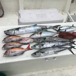 Monster Rush! 釣果