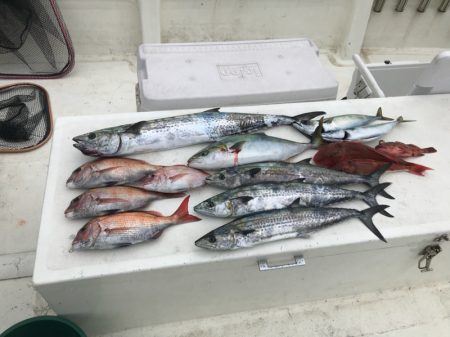 Monster Rush! 釣果