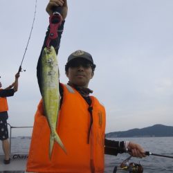 Chase(チェイス) 釣果