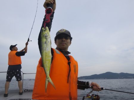 Chase(チェイス) 釣果