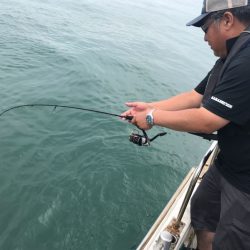 遊漁船メテオ 釣果