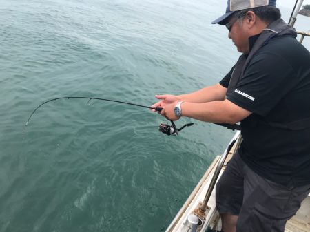 遊漁船メテオ 釣果