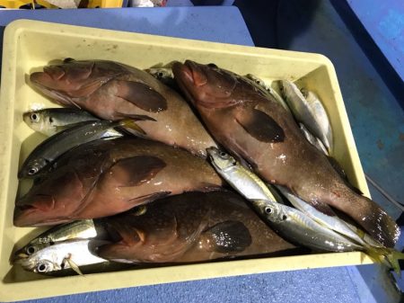 ヤザワ渡船 釣果