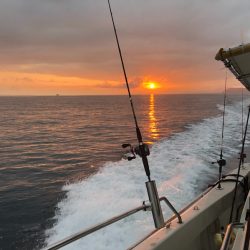 末広丸(熊本) 釣果