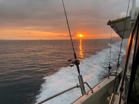 末広丸(熊本) 釣果