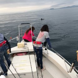 末広丸(熊本) 釣果