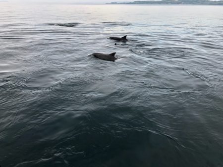 末広丸(熊本) 釣果