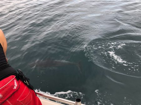 末広丸(熊本) 釣果