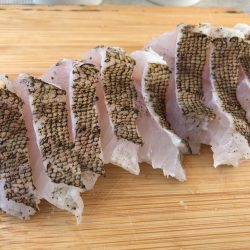 末広丸(熊本) 釣果