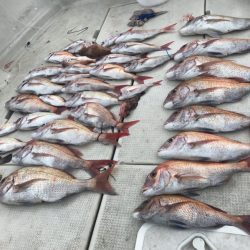 遊漁船メテオ 釣果